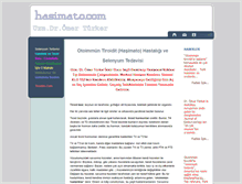 Tablet Screenshot of hasimato.com